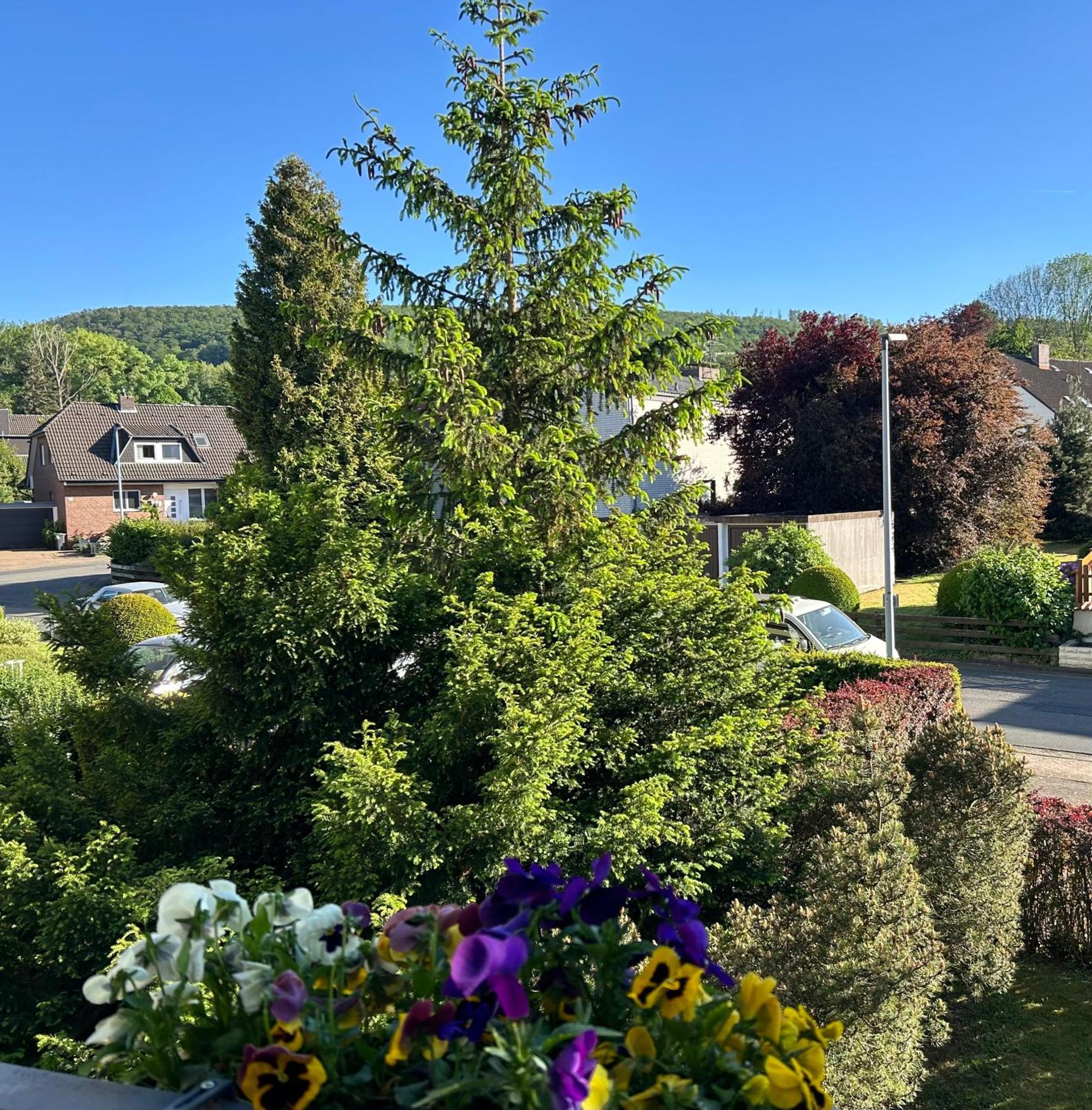 Kleine Auszeit Am Wildgehege Daire Bad Harzburg Dış mekan fotoğraf